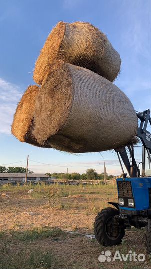 Сено в рулонах Луговое, разнотравье