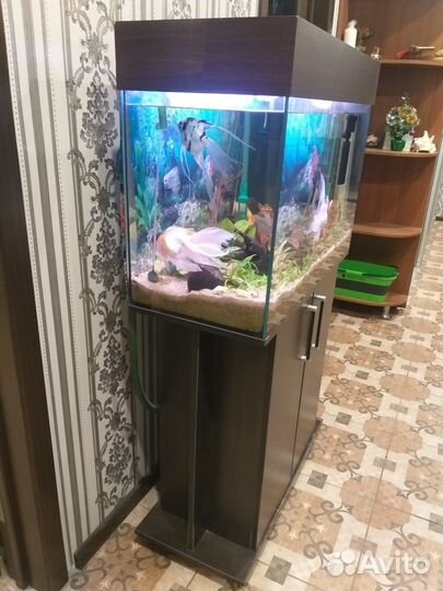 Аквариум с тумбой 150 литров.бу