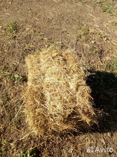 Солома,сено в тюках