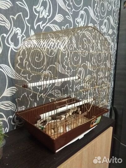 Клетка для птиц