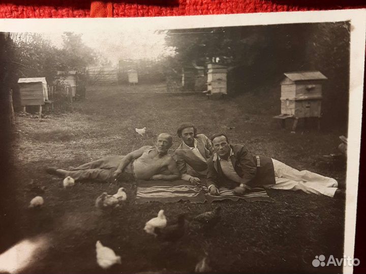 Пчёлы /пасека/ 3шт. СССР 1940/60е. годы