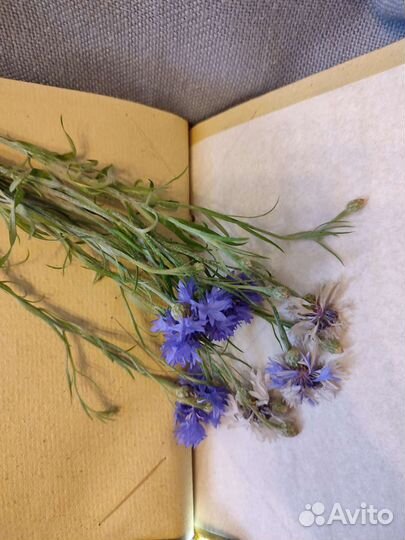 Альбом для фото