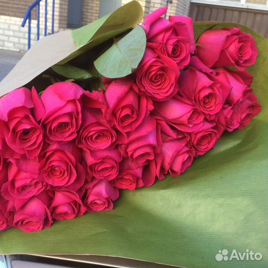 Розы Эквадор Пинк Флойд 25 роз 49 роз