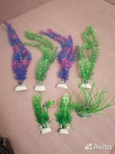 Растения для аквариума