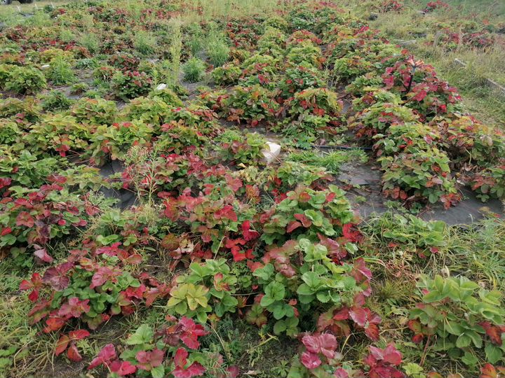 Дом 60 м² на участке 15 сот.