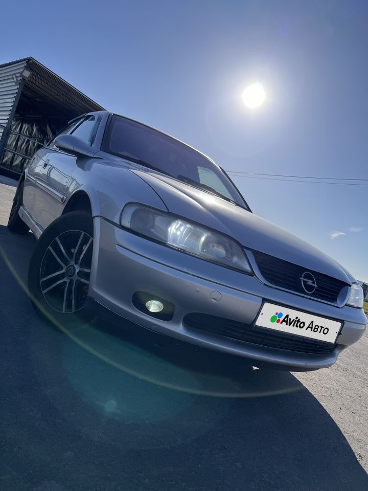 Opel Vectra: фото владельца