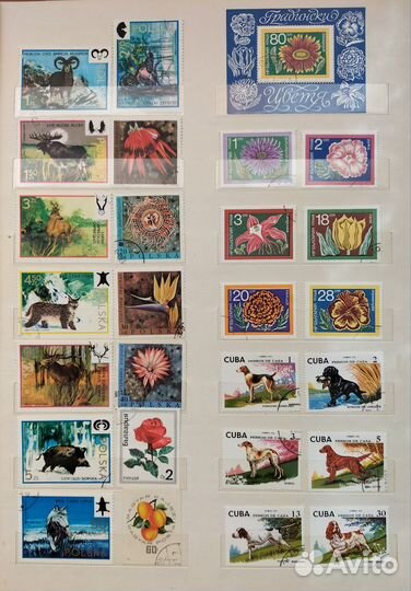 Марки Флора и фауна(#2)