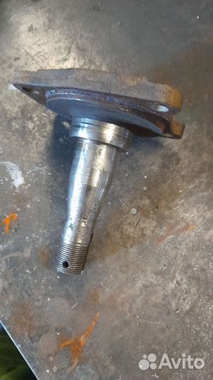 Цапфа соболь