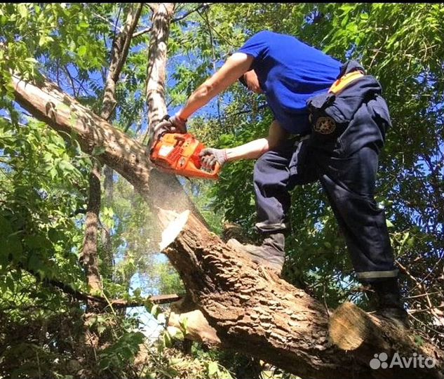 Вывоз мусора, уборка территории, вывоз снега