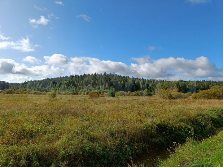 Участок 15 сот. (СНТ, ДНП)