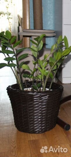 Кашпо из полиротанга