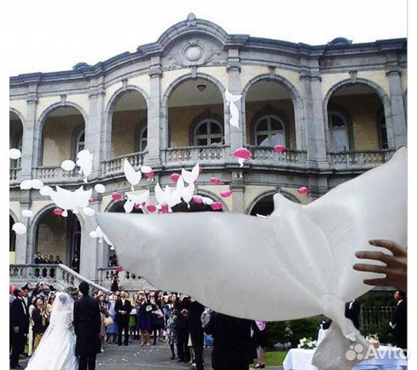 Эко- голуби шары