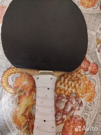 Butterfly petr korbel