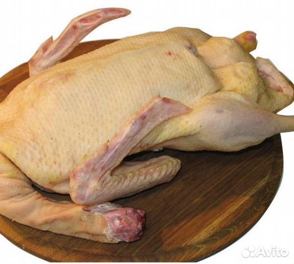 Гусь тушка на заказ
