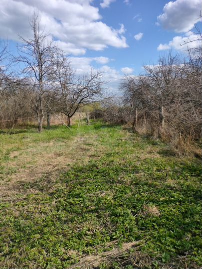 Дом 50 м² на участке 23 сот.