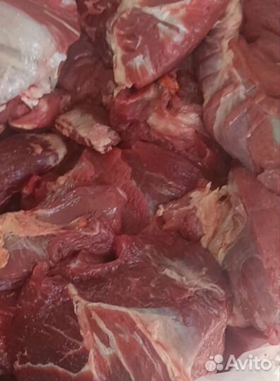 Мясо говядины