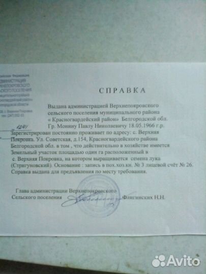 Лук. Семена лука чернушка. лук севок