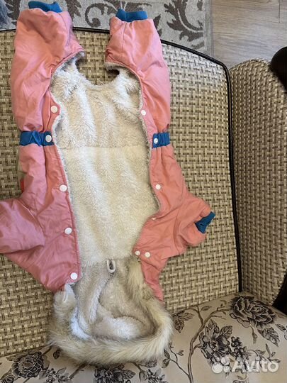 Одежда для мелких собак