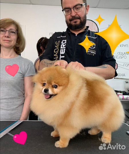 Грумер, груминг