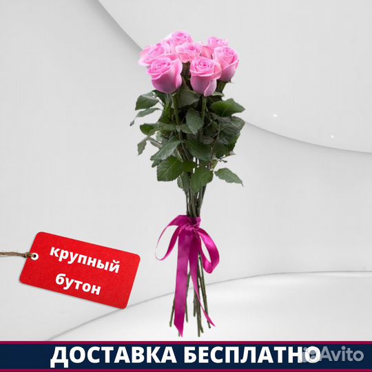 Розы Эквадор - 7 шт. 50 см