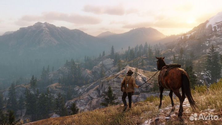 Red Dead Redemption 2 (PS4/PS5) Камышин