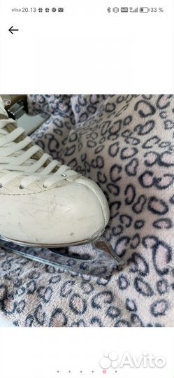 Коньки Edea Chorus 255