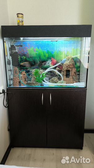Аквариум с тумбой на 100л