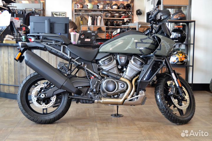 Pan America 1250 Special - Deadwood Green 