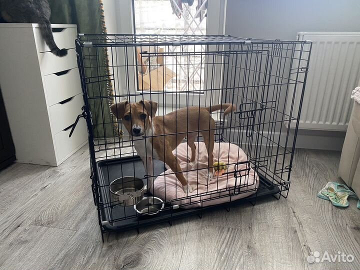 Клетка для собак 3