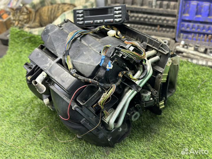 Климат e36 электронный