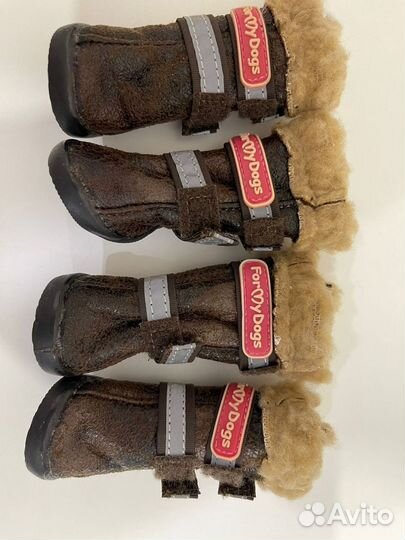 Обувь для маленьких собак