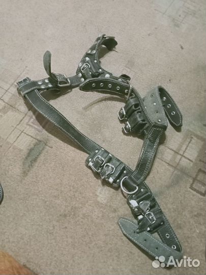 Шлеика для питбуля