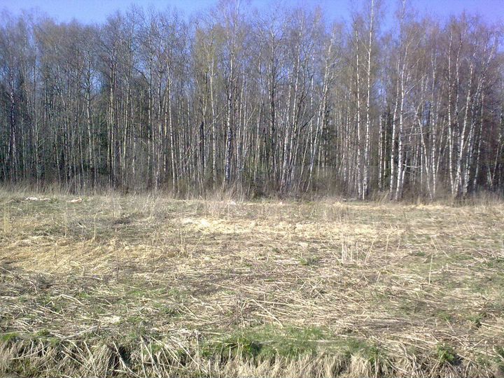 Участок 30 сот. (СНТ, ДНП)