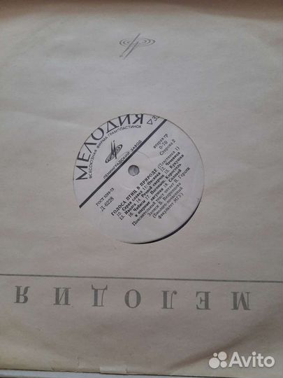 Виниловые пластинки