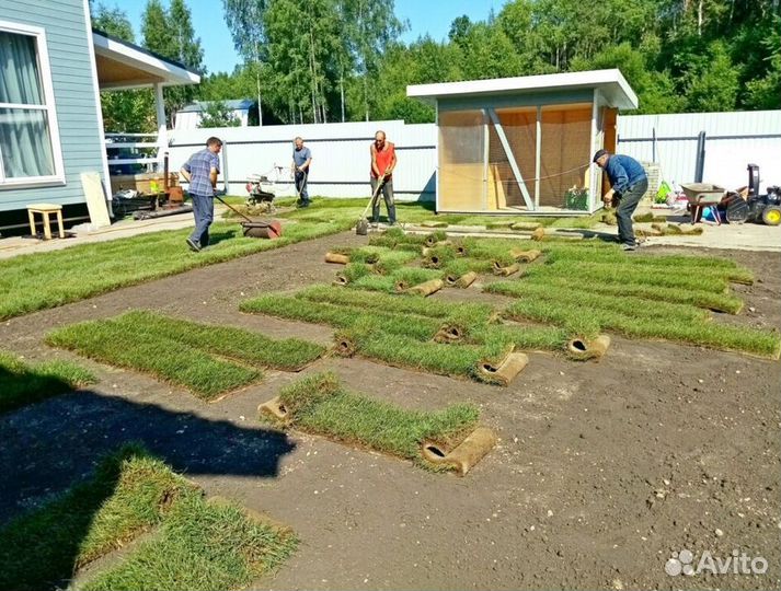 Бригада разнорабочих. Демонтаж. Выезд стразу