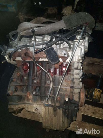 Двигатель d20dtr в разборе