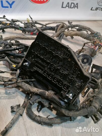 Проводка подкапотная двигателя Hyundai solaris