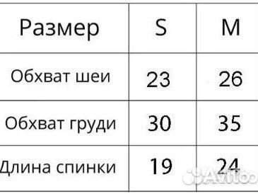 Толстовка для маленькой собачки и памперсы