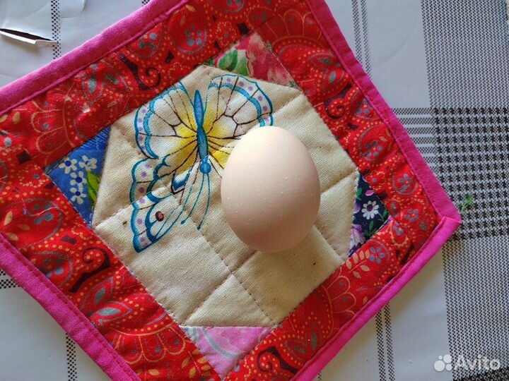 Индоутиные яйца для инкубатора