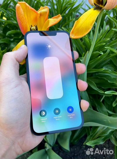 iPhone 13, 256 ГБ