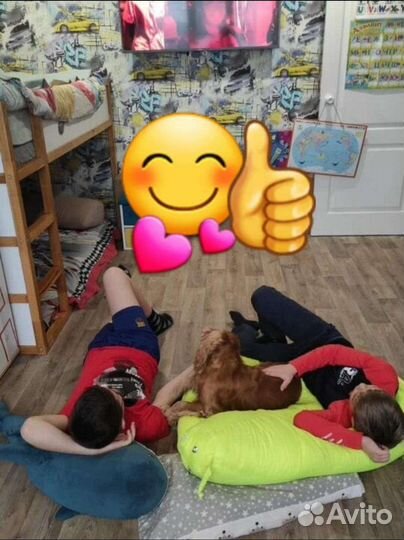 Передержка собак и щенков ЖК Московский. Зоо няня