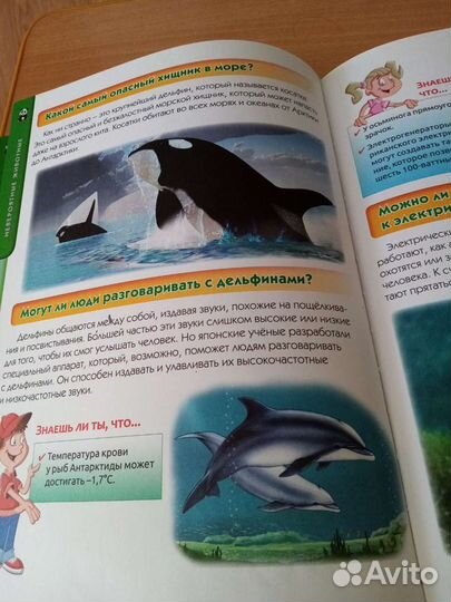 Большая детская энциклопедия 6+