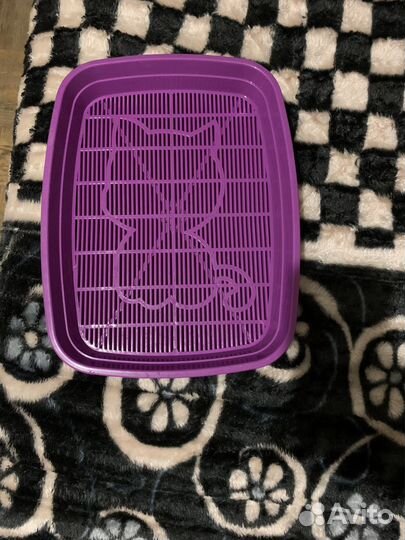 Лоток для котят