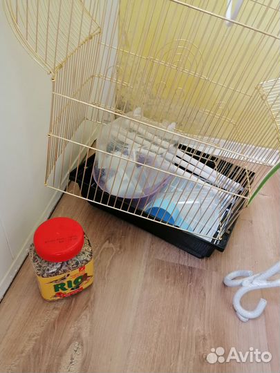 Клетка для канареек