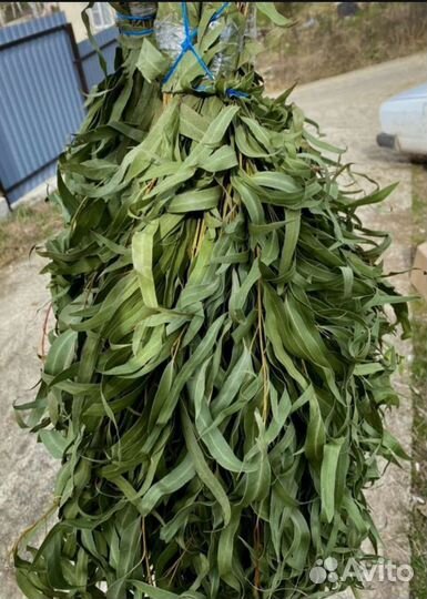 Веники для бани эвкалипт прямиком с Абхазских гор