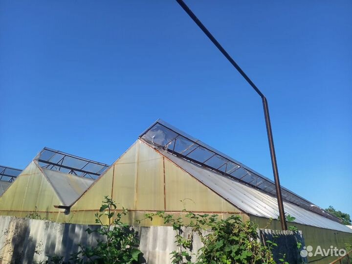 Теплица парники