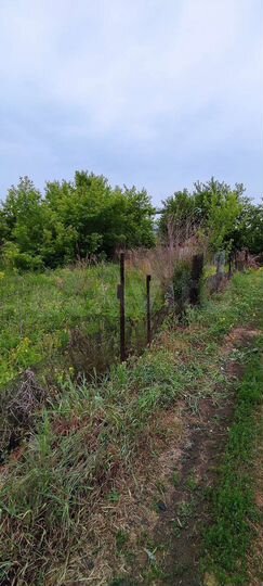 Участок 5,5 сот. (СНТ, ДНП)