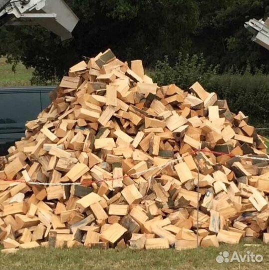 Дрова отборные