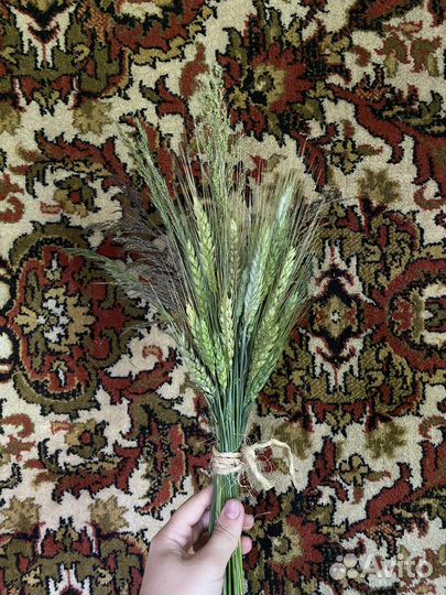 Букет Пшеницы