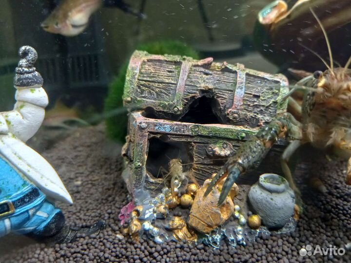 Мраморный рак